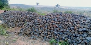 Australia Minerals