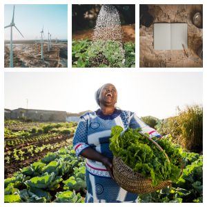 Sustainability Experts